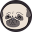 Puggy Coin